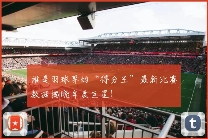 谁是羽球界的“得分王”最新比赛数据揭晓年度巨星！