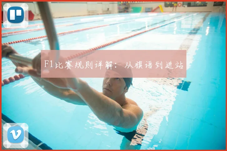 F1比赛规则详解：从旗语到进站