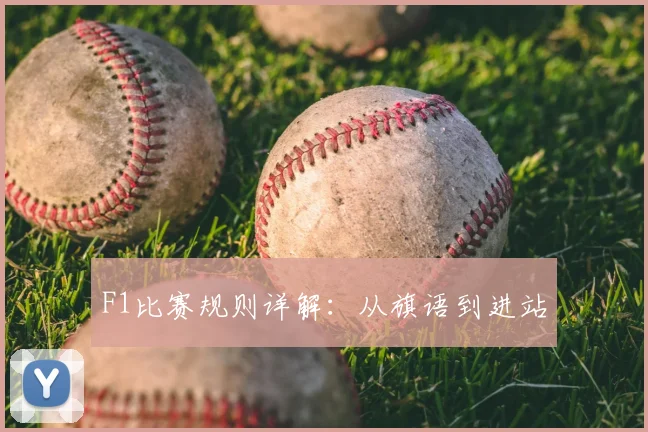 F1比赛规则详解：从旗语到进站
